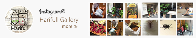 インスタグラム